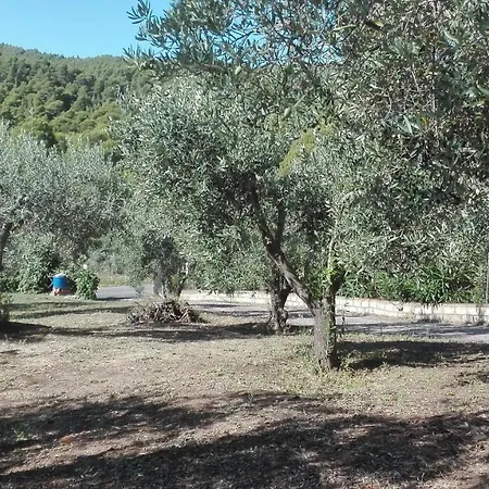 & Blue House In Halkidiki In بيت للعطل فوروفورو